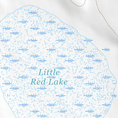 33104NE Page 72 Salt Creek Topo Preview 3