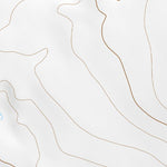 33104NW Page 72 Salt Creek Topo Preview 2