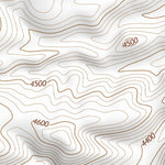 33104SW Page 63 Roswell Topo Preview 3