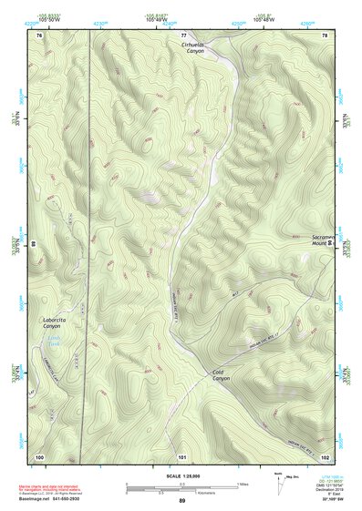 33105SW Page 89 Ruidoso Topo Preview 1