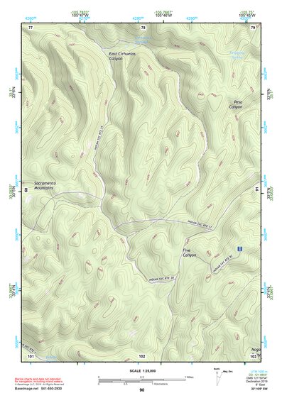 33105SW Page 90 Ruidoso Topo Preview 1