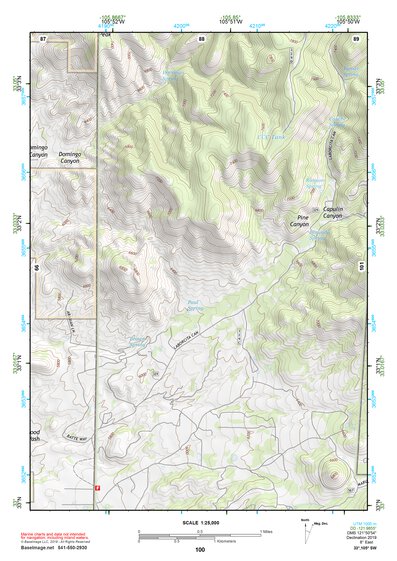 33105SW Page 100 Ruidoso Topo Preview 1