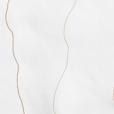 33106NE Page 25 Oscura Mountains Topo Preview 2