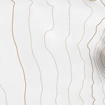 33106NE Page 38 Oscura Mountains Topo Preview 2