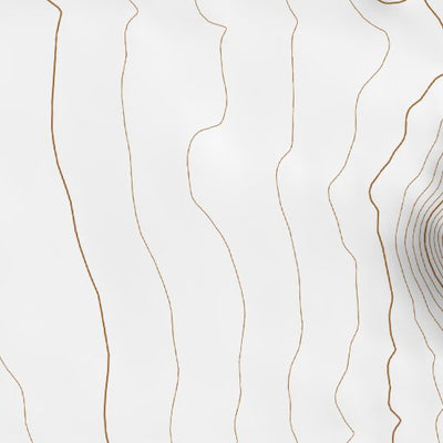 33106NE Page 38 Oscura Mountains Topo Preview 2