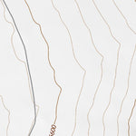 33106NE Page 39 Oscura Mountains Topo Preview 2