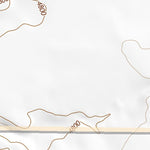 33106NE Page 95 Oscura Mountains Topo Preview 2