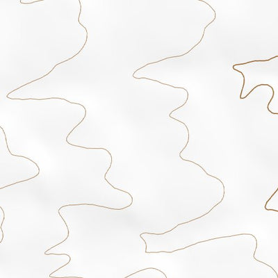 33107NE Page 3 San Mateo Mountains Topo Preview 2