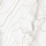 33107NE Page 30 San Mateo Mountains Topo Preview 2