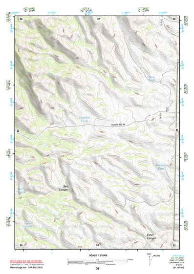 33107NE Page 39 San Mateo Mountains Topo Preview 1