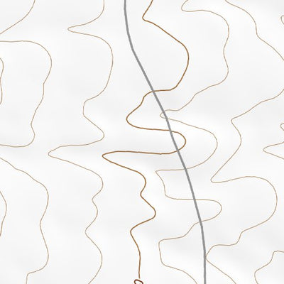 33107NE Page 41 San Mateo Mountains Topo Preview 3