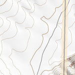 33107NE Page 45 San Mateo Mountains Topo Preview 2
