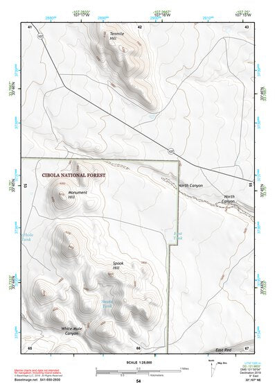 33107NE Page 54 San Mateo Mountains Topo Preview 1