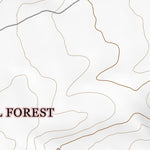 33107NE Page 65 San Mateo Mountains Topo Preview 2