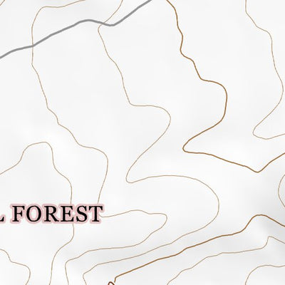 33107NE Page 65 San Mateo Mountains Topo Preview 2