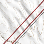 33107NE Page 71 San Mateo Mountains Topo Preview 3