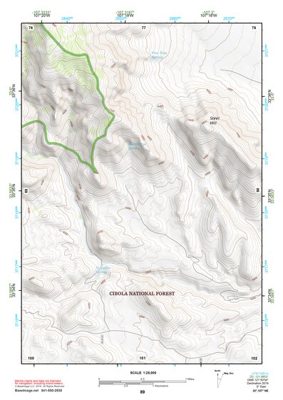 33107NE Page 89 San Mateo Mountains Topo Preview 1