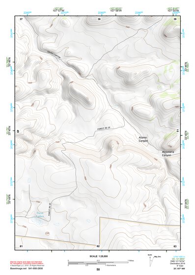 33107NW Page 50 San Mateo Mountains Topo Preview 1