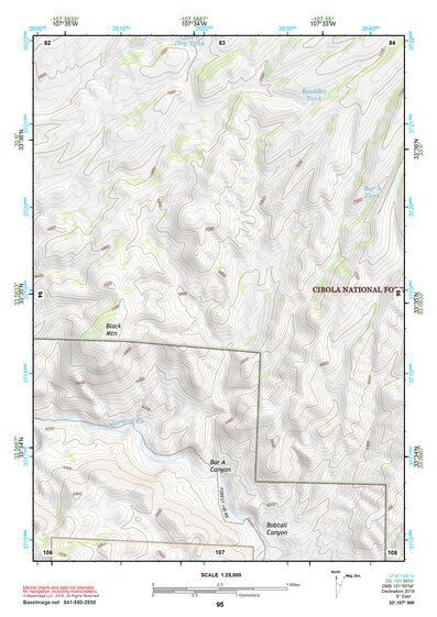 33107NW Page 95 San Mateo Mountains Topo Preview 1