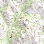 33107SW Page 55 Truth Or Consequences Topo Preview 3