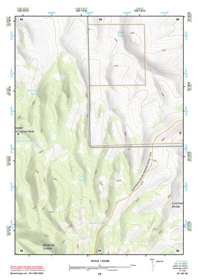 33108NE Page 77 Tularosa Mountains Topo Preview 1