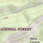 33108NW Page 61 Tularosa Mountains Topo Preview 2