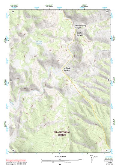 33108NW Page 89 Tularosa Mountains Topo Preview 1