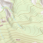 33109NE Page 8 Nutrioso Topo Preview 2