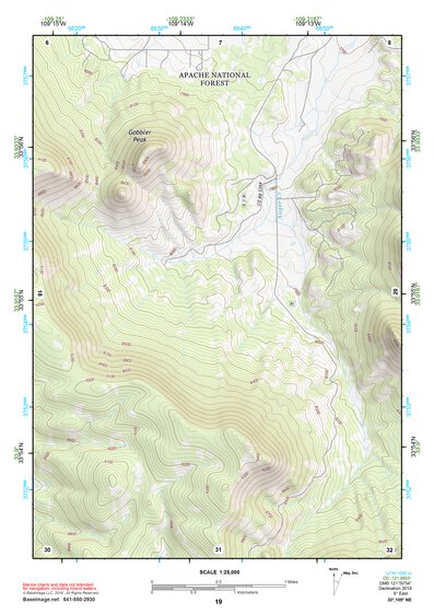 33109NE Page 19 Nutrioso Topo Preview 1