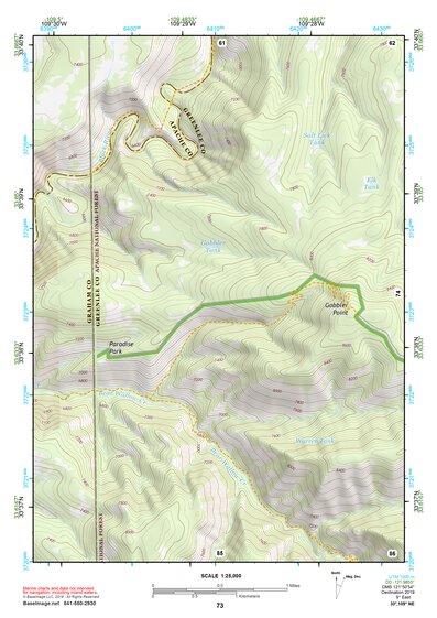 33109NE Page 73 Nutrioso Topo Preview 1