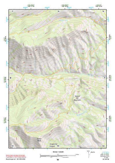 33109NE Page 90 Nutrioso Topo Preview 1