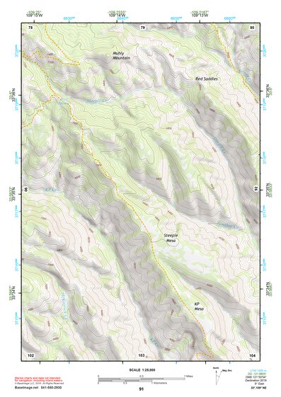 33109NE Page 91 Nutrioso Topo Preview 1