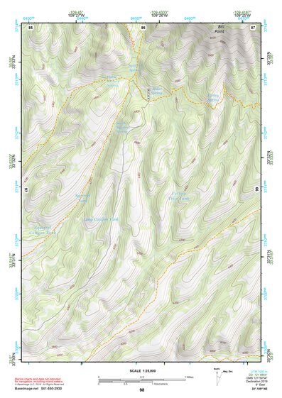 33109NE Page 98 Nutrioso Topo Preview 1