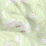 33109NW Page 6 Nutrioso Topo Preview 3