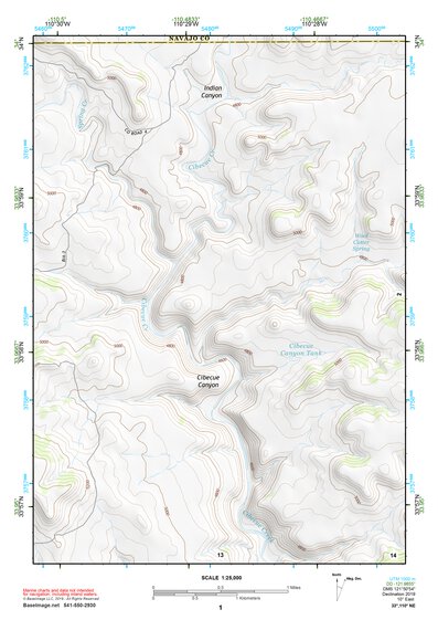 33110NE Page 1 Seneca Topo Preview 1