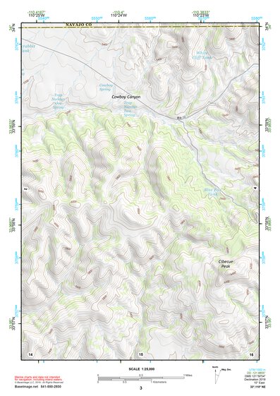 33110NE Page 3 Seneca Topo Preview 1