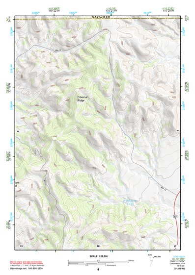 33110NE Page 4 Seneca Topo Preview 1
