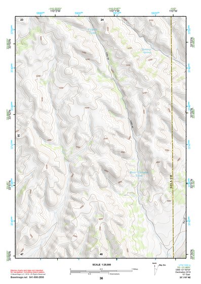 33110NE Page 36 Seneca Topo Preview 1