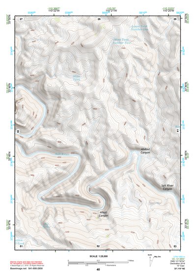 33110NE Page 40 Seneca Topo Preview 1