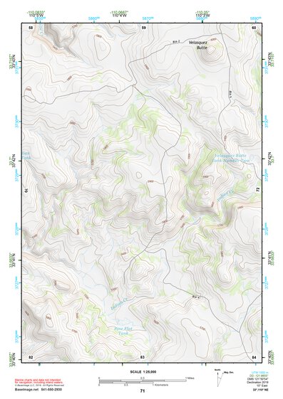 33110NE Page 71 Seneca Topo Preview 1