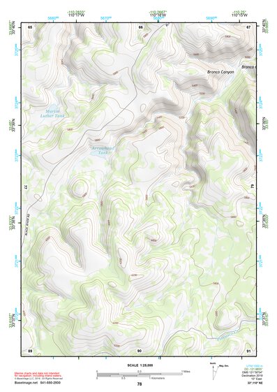33110NE Page 78 Seneca Topo Preview 1