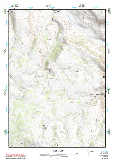 33110NE Page 81 Seneca Topo Preview 1