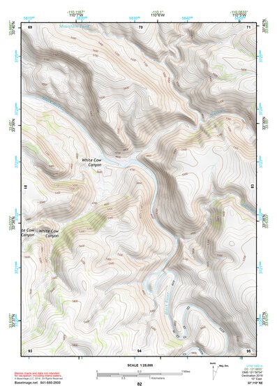 33110NE Page 82 Seneca Topo Preview 1