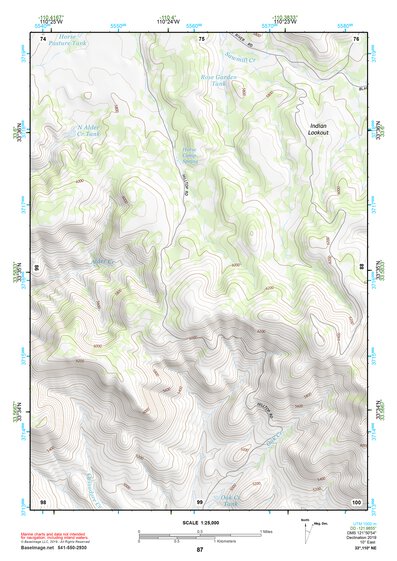 33110NE Page 87 Seneca Topo Preview 1