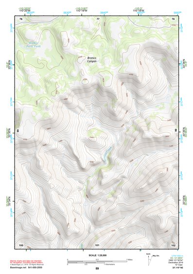 33110NE Page 89 Seneca Topo Preview 1
