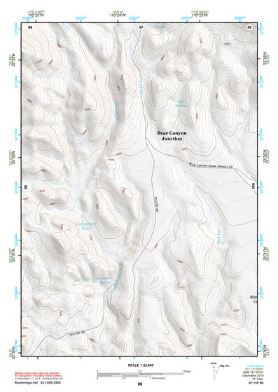 33110NE Page 99 Seneca Topo Preview 1