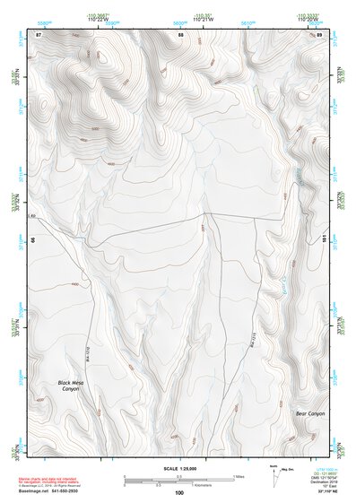 33110NE Page 100 Seneca Topo Preview 1