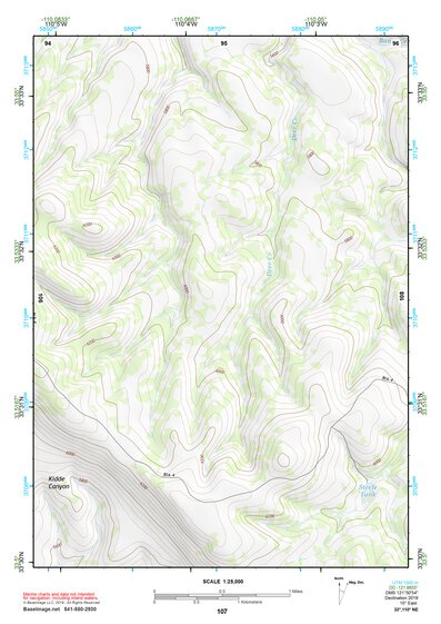 33110NE Page 107 Seneca Topo Preview 1