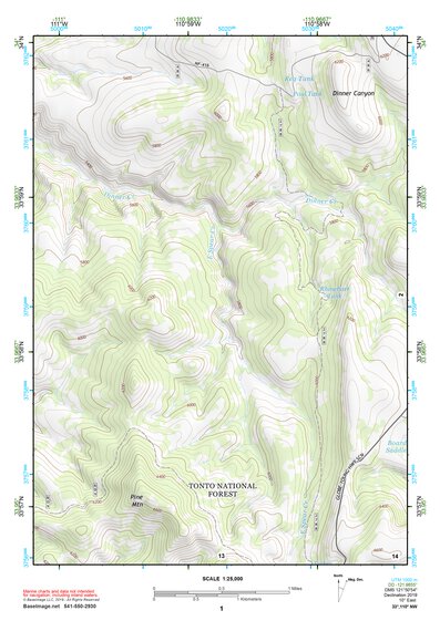 33110NW Page 1 Seneca Topo Preview 1