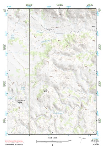 33110NW Page 6 Seneca Topo Preview 1